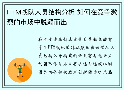 FTM战队人员结构分析 如何在竞争激烈的市场中脱颖而出