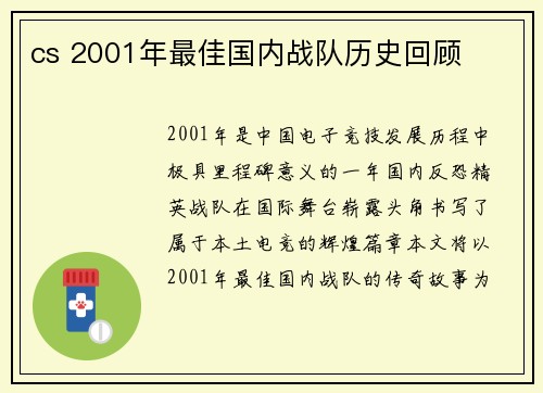 cs 2001年最佳国内战队历史回顾